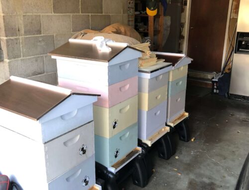 Practical Bee Keeping